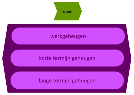 geheugenlagen geheugenmodel bedrijfsvoering